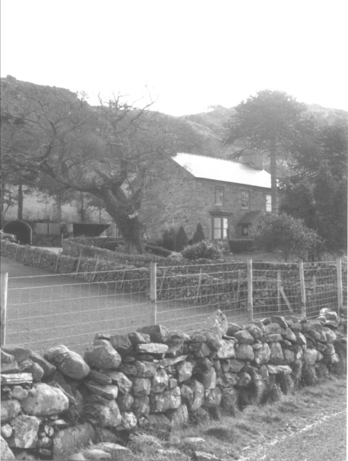 Cefn Trefor fawr